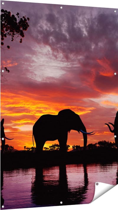 Gards Tuinposter Olifanten tijdens Zonsondergang - Silhouet - 100x150 cm - Tuindoek - Tuindecoratie - Wanddecoratie buiten - Tuinschilderij