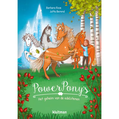 Het Geheim Van De Edelstenen - Power Pony's - Barbara Rose
