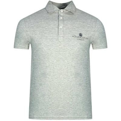 Aquascutum Unisex Volwassen Londen Bold Logo Poloshirt (Grijs)