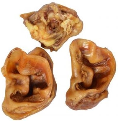ZooLekker - varkensoorstukjes 5kg - natuurlijke hondensnacks - varken oor - kauwsnack hond