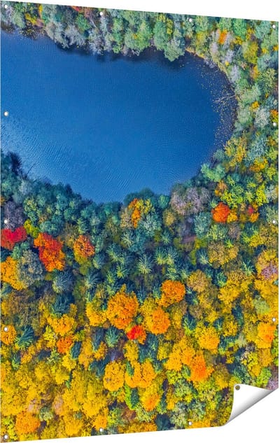 Gards Tuinposter Kleurrijke Bos met Bomen naast een Meer - 120x160 cm - Tuindoek - Tuindecoratie - Wanddecoratie buiten - Tuinschilderij