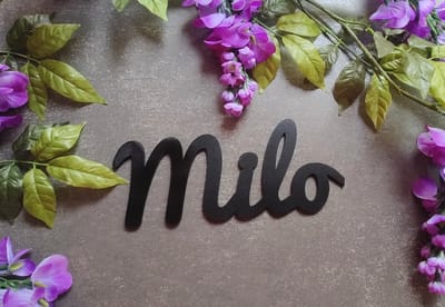 In hout uitgesneden naambord - Gepersonaliseerd - Babyshower kinderkamer - Baby - Decoratie - Kraamcadeau - Zwart