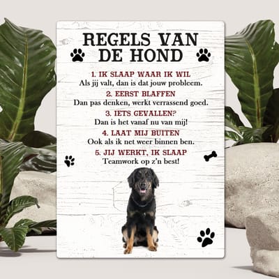 Spreuken - Hovawart - Regels Van De Hond - Spreuken Bordjes - Spreukenbord - Tekstborden - Cadeau - Hondenras