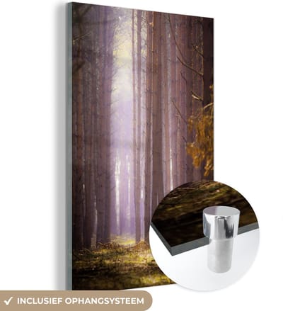 ® Glasschilderij 120x180 cm - Schilderij acrylglas - Roze-getinte weergave van de bossen in het Poolse Nationaal Park Wielkopolska - Foto op glas - Muurdecoratie woonkamer - Wanddecoratie slaapkamer - Schilderijen
