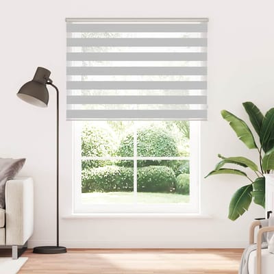 vidaXL - Zebra - rolgordijn - 165x200 - cm - stofbreedte - 160,9 - cm - lichtgrijs