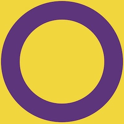 Vlag Intersekse 150x225cm
