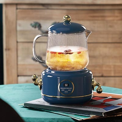 Kleine waterkoker - Thee en koffieketel - Drankjes bereiden - Temperatuurregeling - 0.6L - Blauw