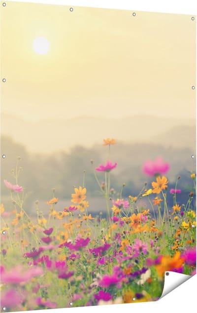 Gards Tuinposter Bloemenveld met Kosmos - Zonsondergang - 120x160 cm - Tuindoek - Tuindecoratie - Wanddecoratie buiten - Tuinschilderij
