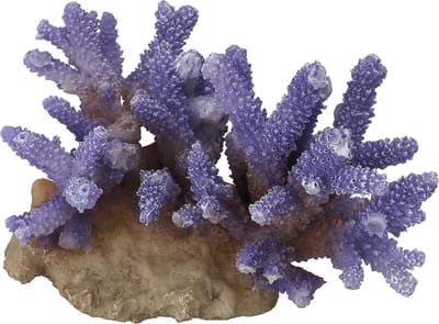Aqua Della - Aquariumdecoratie - Vissen - Coraal Acropora 15,5x12x10cm Paars - 1st