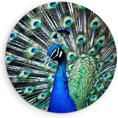 Saammp Muurcirkel Hout - Pauw met grote hanen - Dieren - Bloemen - Ø 90 - Wandcirkel - Wanddecoratie Cirkel - muurdecoratie Woonkamer - Slaapkamer decoratie - Rond Schilderij