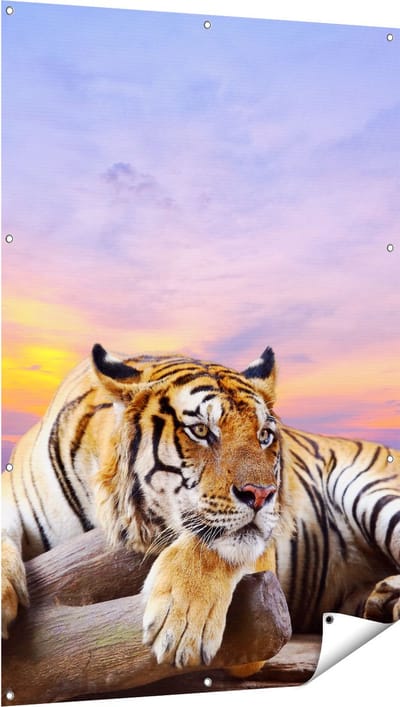 Gards Tuinposter Tijger tijdens Zonsondergang - 100x150 cm - Tuindoek - Tuindecoratie - Wanddecoratie buiten - Tuinschilderij