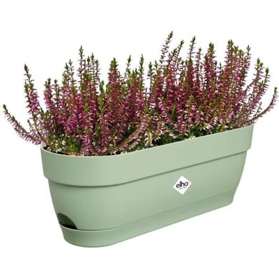 Elho Vibia Campana Balkonbak 50 - Plantenbak voor Balkon - Ø 49.0 x H 17.0 cm - Pistachegroen