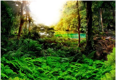 Fotobehangkoning - Behang - Vliesbehang - Fotobehang Tropische Jungle - Exotsich Paradijs - In tropics - 200 x 140 cm