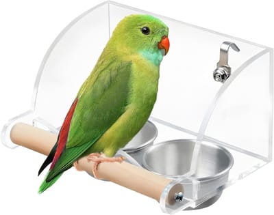 Automatische Voederdispenser voor Parkieten met RVS Dubbele Voerbakken en Antislip Stand voor Vogels en Kanaries
