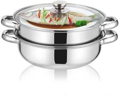 Dailygoods- Stoompot Roestvrij Staal - Stoompan - Kookgerei - Huishoudelijk - Ergonomisch Handvat - Hoogwaardig Glas Deksel