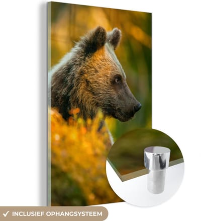 MuchoWow® Glasschilderij 40x60 cm - Schilderij acrylglas - Beer - Bruin - Close up - Foto op glas - Schilderijen
