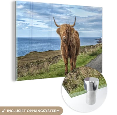 MuchoWow® Glasschilderij 120x80 cm - Schilderij acrylglas - Schotse Hooglander - Water - Horens - Foto op glas - Schilderijen