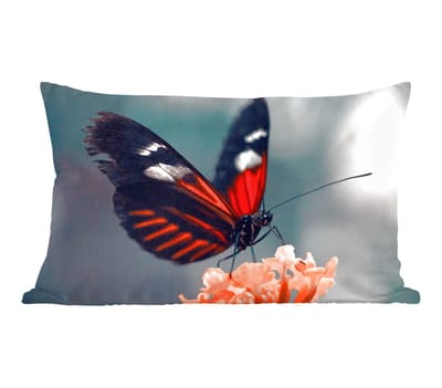 Sierkussens - Kussentjes Woonkamer - 50x30 cm - Vlinder - Bloemen - Insect
