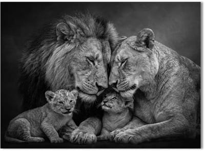 Schilderij Woonkamer - Modern Canvas Kunstwerk - 70 x 50 cm - Leeuwen Familie No2 - Zwart Wit - PosterGuru