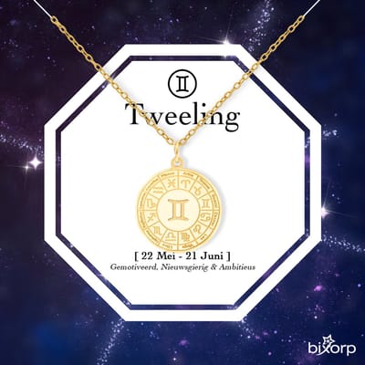 Bixorp Stars Sterrenbeeld Ketting Tweeling / Gemini - Stainless Steel Medailon met Goud Verguld - 45cm Ketting met Zodiac Hanger - Inclusief Cadeau Verpakking