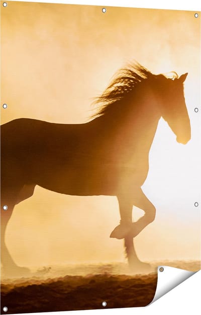 Gards Tuinposter Silhouet van een Paard - 90x120 cm - Tuindoek - Tuindecoratie - Wanddecoratie buiten - Tuinschilderij