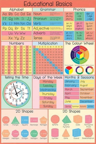 Educational Basics - Maxi Poster - 61 x 96.5 cm