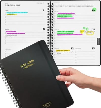 Schoolagenda 2026 - Weekoverzicht en Notitieboek voor Studenten en Professionals