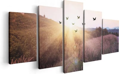 Artaza Canvas Schilderij Vijfluik Silhouet Zwerm Vogels Bij Zonsondergang - 100x50 - Foto Op Canvas - Canvas Print