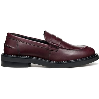 Damesschoenen Geox Serilda