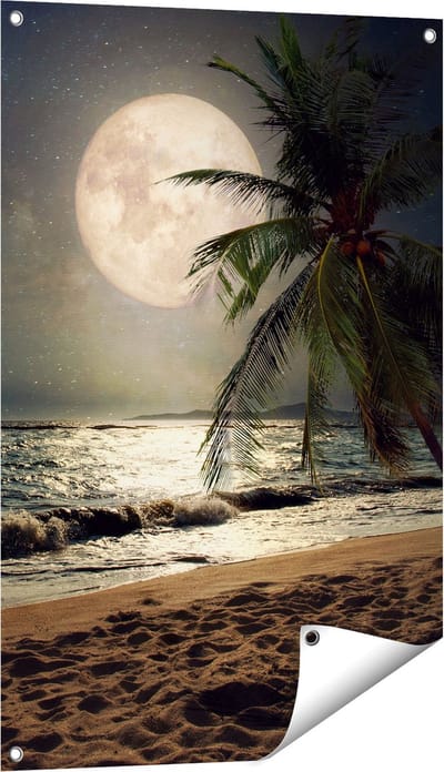 Gards Tuinposter Tropisch Strand in de Nacht met Volle Maan - 60x90 cm - Tuindoek - Tuindecoratie - Wanddecoratie buiten - Tuinschilderij