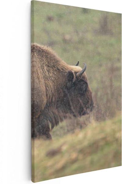Artaza Canvas Schilderij Buffel - 20x30 cm - Klein - Wanddecoratie Dierenkop - Muurdecoratie Wilde Dieren - Kamer Accessoires