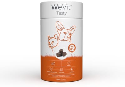 WePharm WeVit Tasty - 30 soft-chews - Multivitamine Voor Honden en Katten - Ondersteunt Energie en Vitaliteit - Smakelijke Snack Vorm - Natuurlijk Supplement