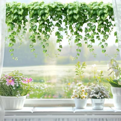 Raamstickers - Plantenwijnbladeren - Groene plantenbladeren - Herbruikbaar - Groen blad hangend wijnrankontwerp - Lijmvrije statische stickers - Geschikt voor glazen ramen - Lente- en zomerbloemendecoratie - Groen