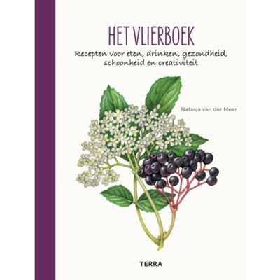 Het Vlierboek - Natasja van der Meer