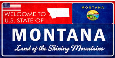 Signs-USA - Souvenir Kentekenplaat - metaal - Montana - 15 x 30 cm