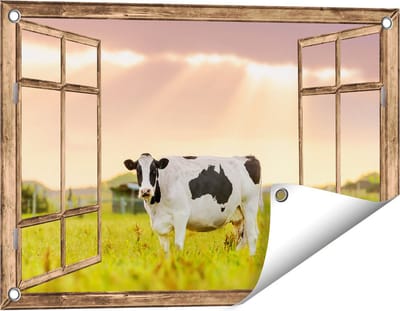 Gards Tuinposter Doorkijk Zwart Wit Koe in de Wei bij Zonsopkomst - 60x40 cm - Tuindoek - Tuindecoratie - Wanddecoratie buiten - Tuinschilderij