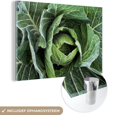 ® Glasschilderij 180x120 cm - Schilderij acrylglas - Groene kool als een roos gevormd - Foto op glas - Muurdecoratie woonkamer - Wanddecoratie slaapkamer - Schilderijen