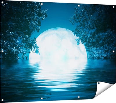 Gards Tuinposter Volle Maan in het Water - 120x90 cm - Tuindoek - Tuindecoratie - Wanddecoratie buiten - Tuinschilderij