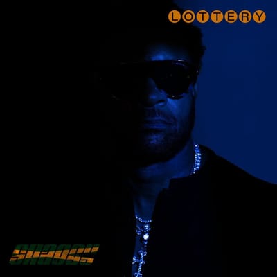 Shaggy - Lottery (LP)
