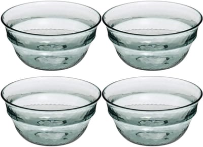 Secret de Gourmet - 10x - Kommetjes/Schaaltjes - kunststof - transparant - 13 cm - groen