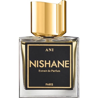 NISHANE No Boundaries Extrait de Parfum Spray Herenparfum Dames 100 ml