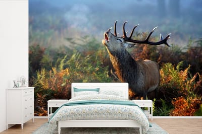 Behang - Fotobehang Hert - Planten - Mist - Breedte 390 cm x hoogte 260 cm