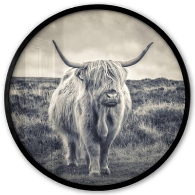 Poster in lijst Rond - Fotolijst 40x40 cm - Posters - Schotse hooglander - Dieren - Wolken - Koe - Natuur - Ronde posterlijst zwart - Decoratie - Wanddecoratie woonkamer - Muurdecoratie slaapkamer