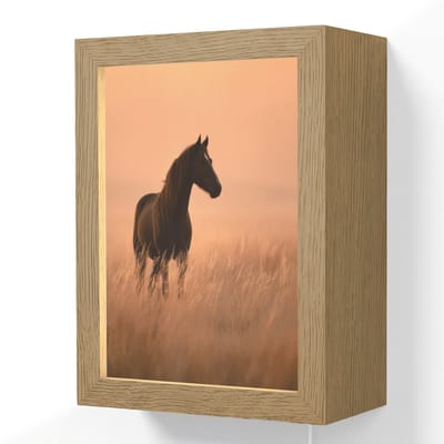 Wandlamp 15x20 cm - Oplaadbaar - Paard - Grasveld - Zonsondergang - Wandlampen binnen woonkamer - Slaapkamer lamp met kabel - Decoratieve nachtlamp - Vloerlamp snoer