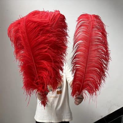 10 STUKS Licht Kaki Grote Struisvogelveren Bulk 15-60CM Lang Natuurlijke Pluizige Struisvogelveren voor Bruiloft Restaurant Vaas Decoratie 15-20cm 6-8inch rood