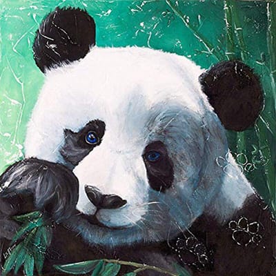 5D Doe-het-zelf Diamant Geborduurde Dier Panda Diamant Schilderen Diamant Borduurwerk 30x30CM white