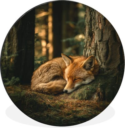 WallCircle - Wandcirkel - Muurcirkel - Vos - Bos - Slapen - Aluminium - Dibond - 30x30 cm - Binnen en Buiten