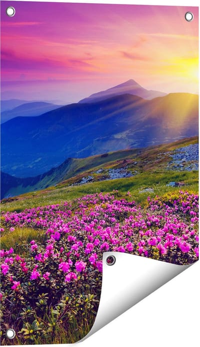 Gards Tuinposter Roze Rhododendron Bloemenveld - Bergen - 40x60 cm - Tuindoek - Tuindecoratie - Wanddecoratie buiten - Tuinschilderij