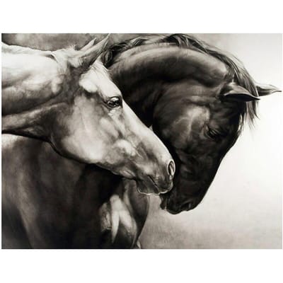 Diamant borduurwerk zwart wit paard foto aangepaste diamant schilderij kruissteek 5D Home decor 20X30CM gray