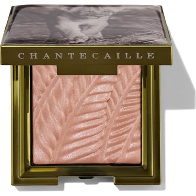 Chantecaille Lion Collection Luminescent Eye Shade - Narika